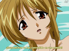 Septem Charm Magical Kanan: SP Summer Camp